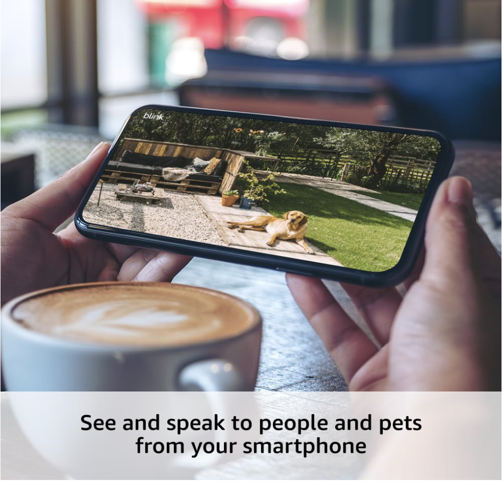 Person viewing Blink Outdoor 4 camera footage of a dog in backyard using smartphone with two-way audio