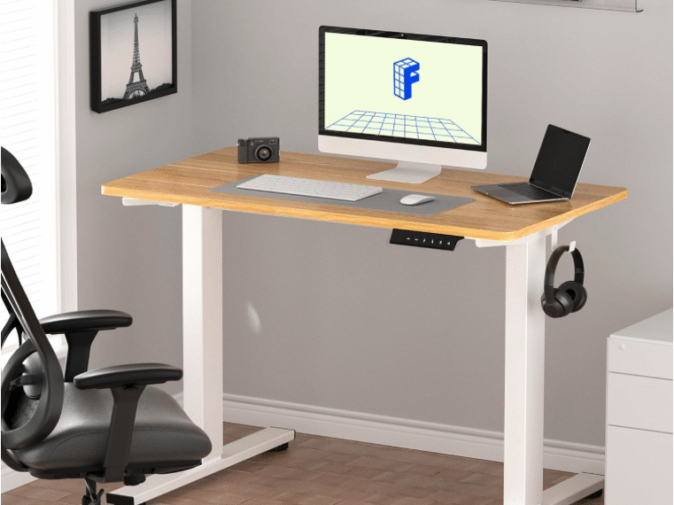 FLEXISPOT EN1 electric standing desk