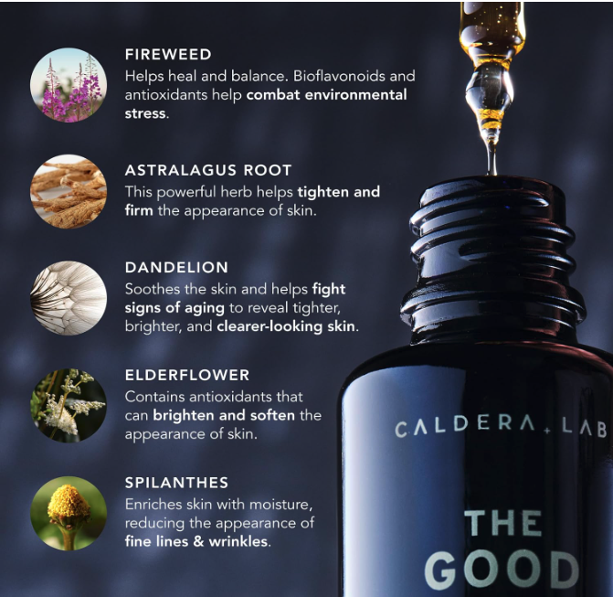 Key botanical ingredients in Caldera + Lab The Good serum including Fireweed, Astragalus Root, Dandelion, Elderflower, and Spilanthes with their skincare benefits